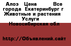 Алоэ › Цена ­ 150 - Все города, Екатеринбург г. Животные и растения » Услуги   . Новосибирская обл.